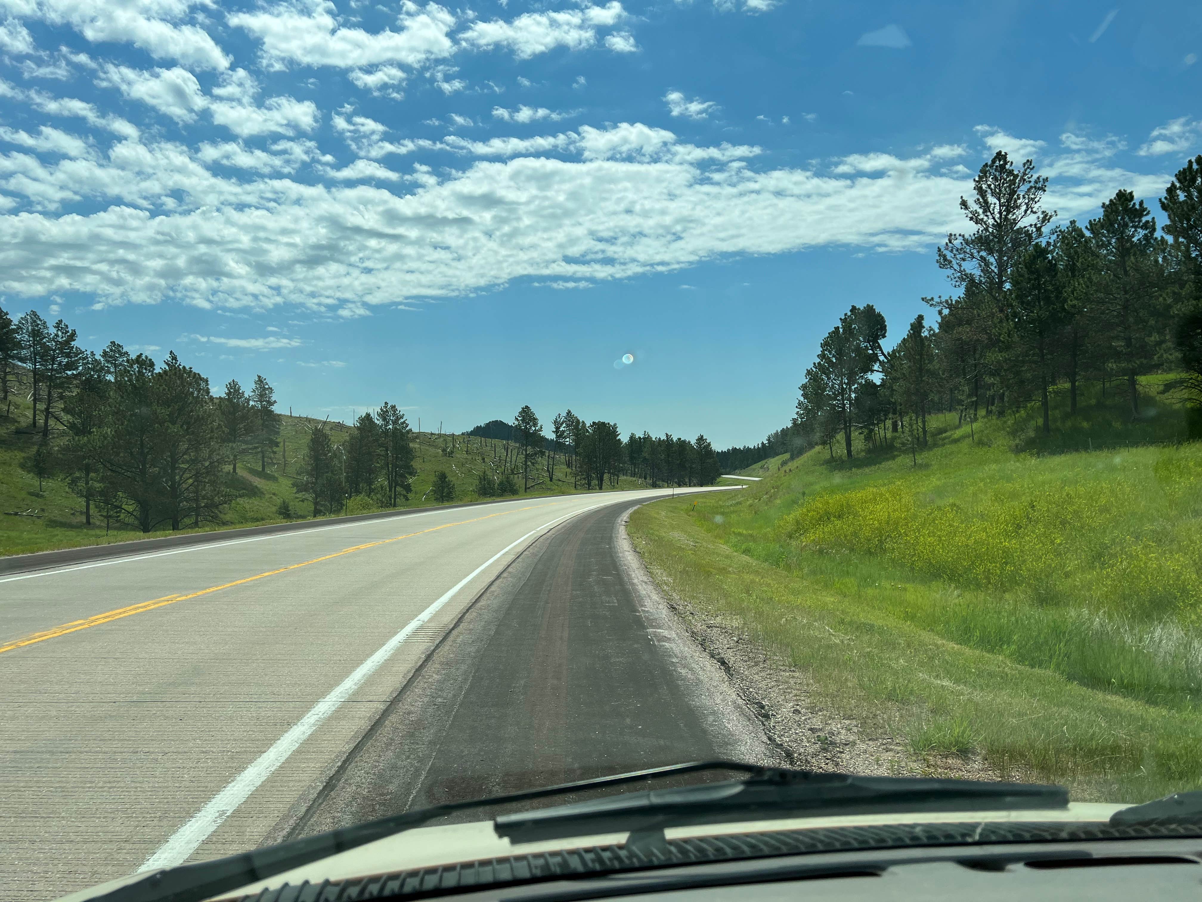 Camper submitted image from Black Hills Dispersed Site - Hwy 89 - 3