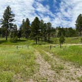 Review photo of Black Hills Dispersed Site - Hwy 89 by Art S., July 13, 2023