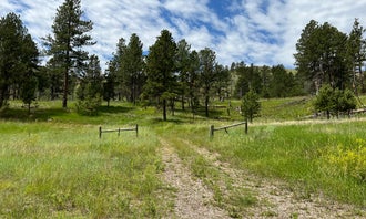Camping near Plenty Star Ranch - CLOSED: Black Hills Dispersed Site - Hwy 89 , Pringle, South Dakota