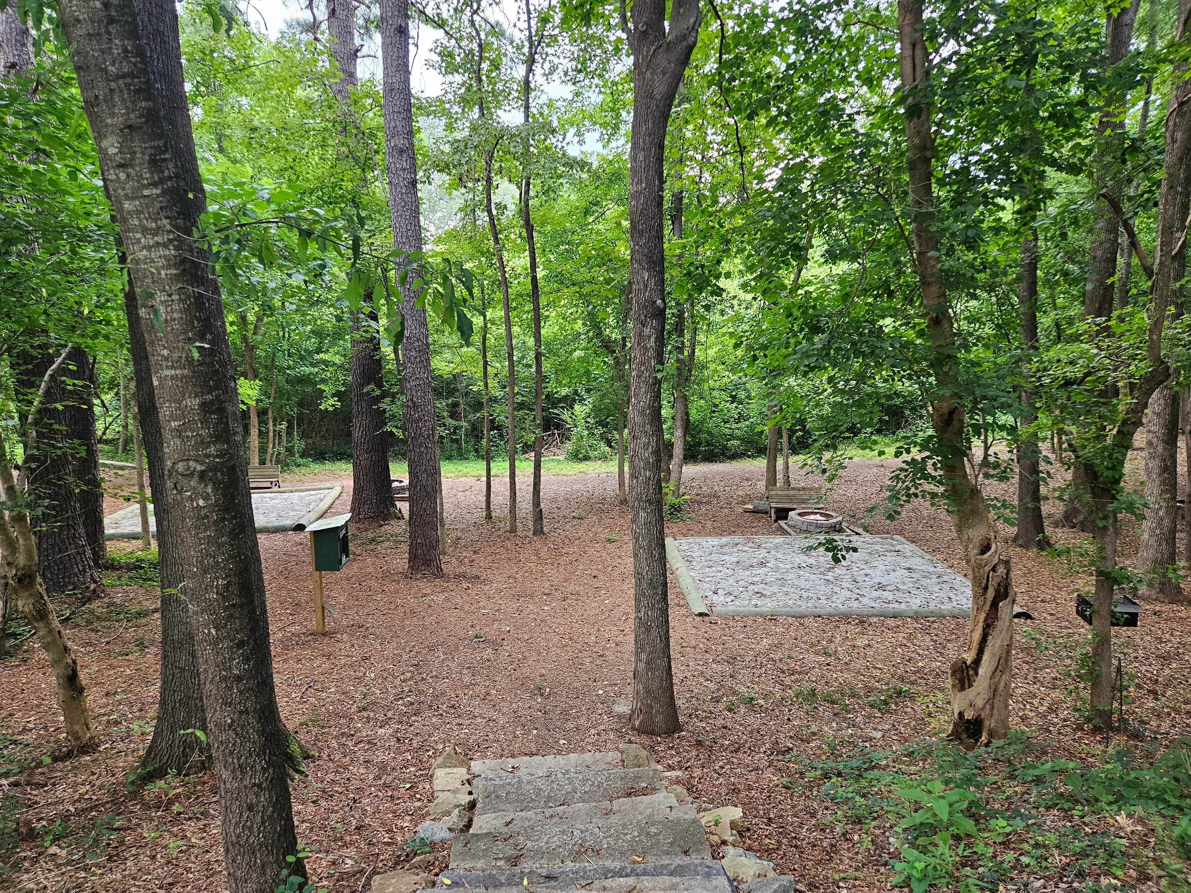 Camper-submitted photo at Alston Trailhead near Winnsboro, SC