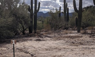 Camping near Prince of Tucson RV Park: Casa de Pace, Cortaro, Arizona