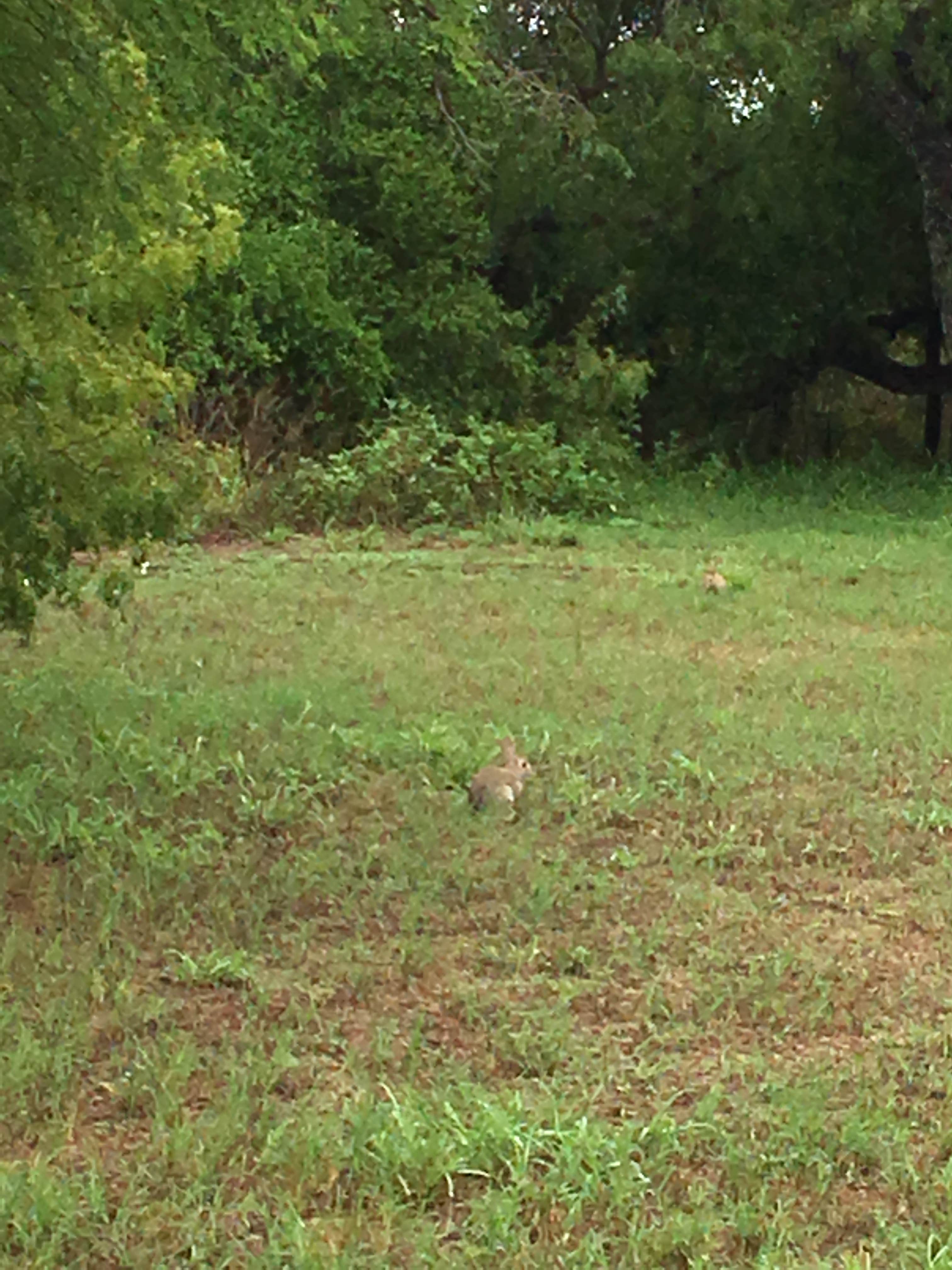 Choke Canyon State Park Campground Calliham, TX