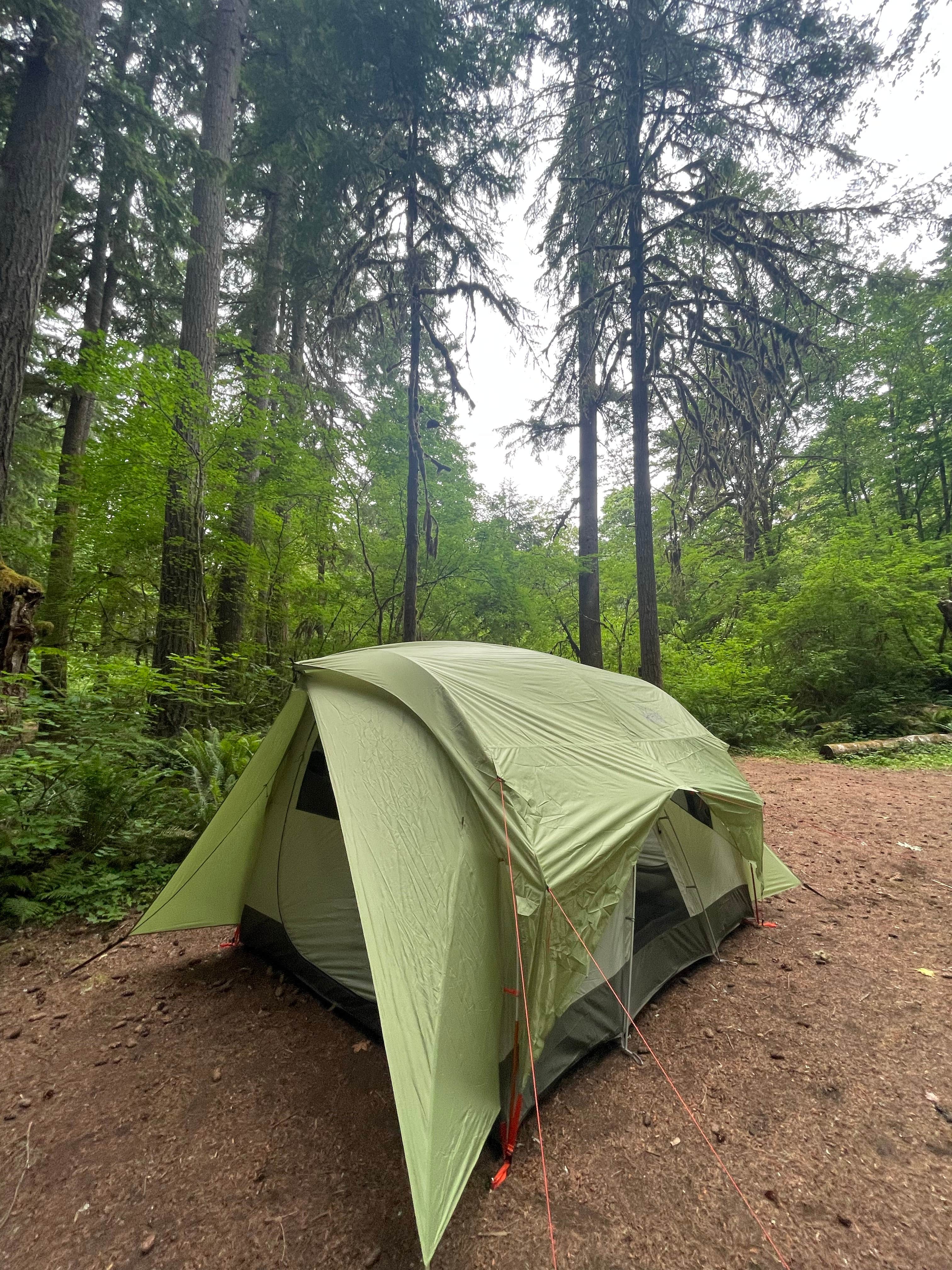 Camper-submitted photo at Eagle Cliff Campground near Trout Lake, WA