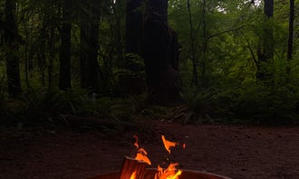 Camping near Swift Forest Camp: Eagle Cliff Campground, Cougar, Washington