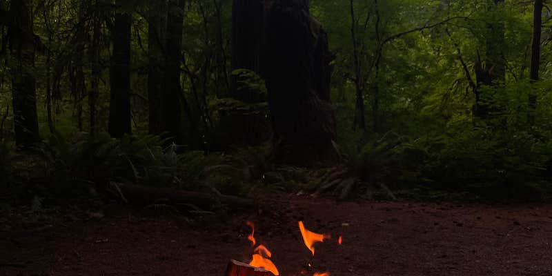 Camper submitted image from Eagle Cliff Campground