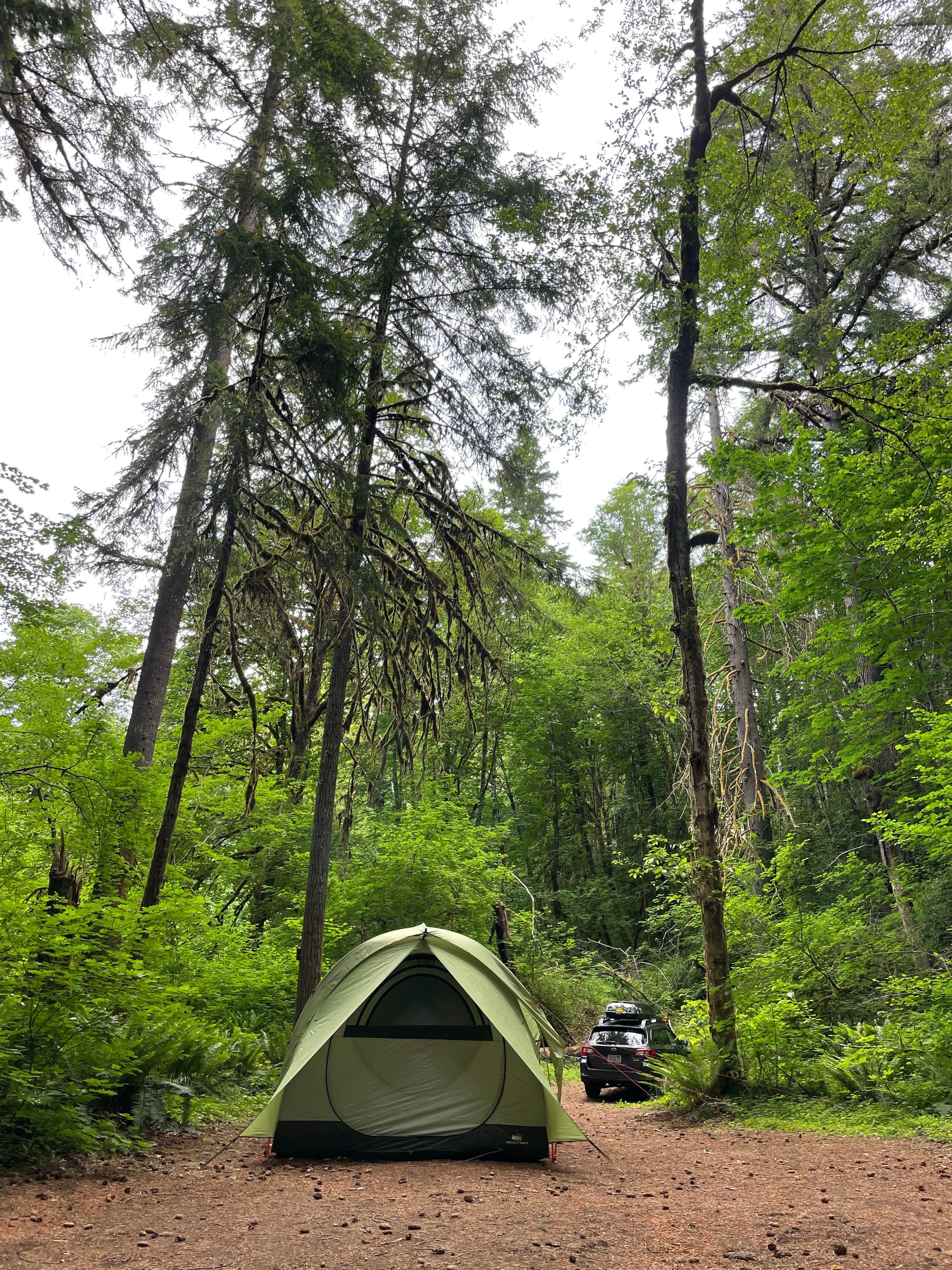 Camper-submitted photo at Eagle Cliff Campground near Trout Lake, WA
