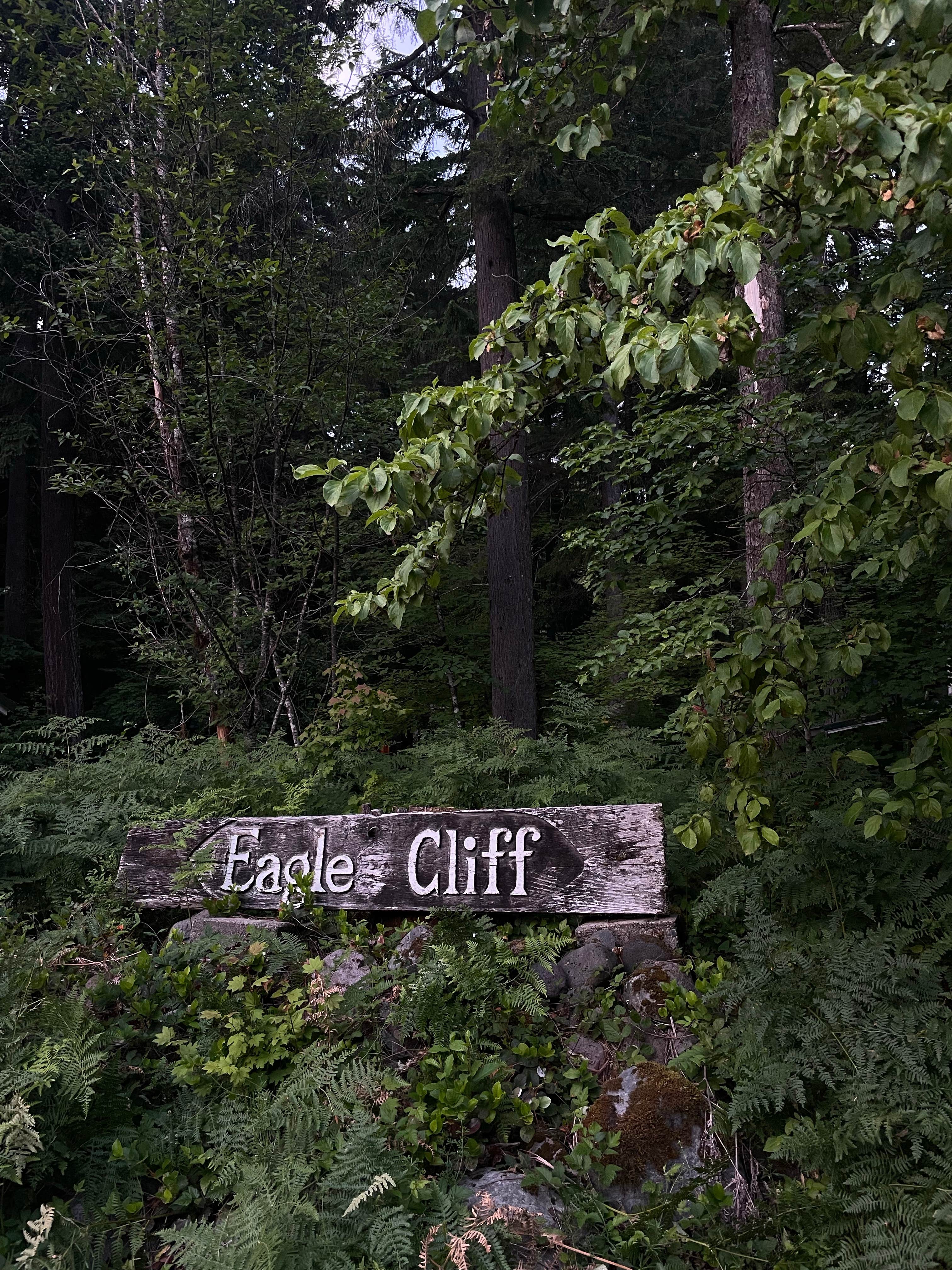 Camper-submitted photo at Eagle Cliff Campground near Trout Lake, WA