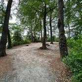 Review photo of Trap Pond State Park Campground by Marie L., July 13, 2023