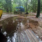 Review photo of Trap Pond State Park Campground by Marie L., July 13, 2023