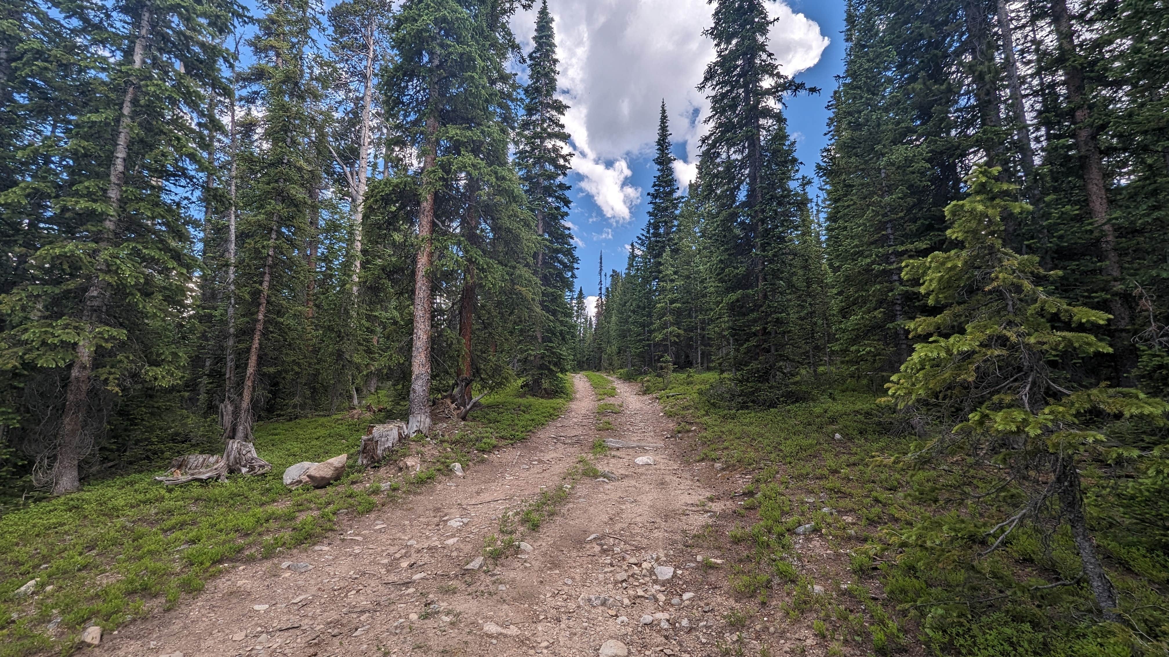 Camper submitted image from McCullough Gulch Designated Dispersed Camping - 3