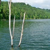 Review photo of Yatesville Lake State Park Campground by Karen P., October 23, 2018