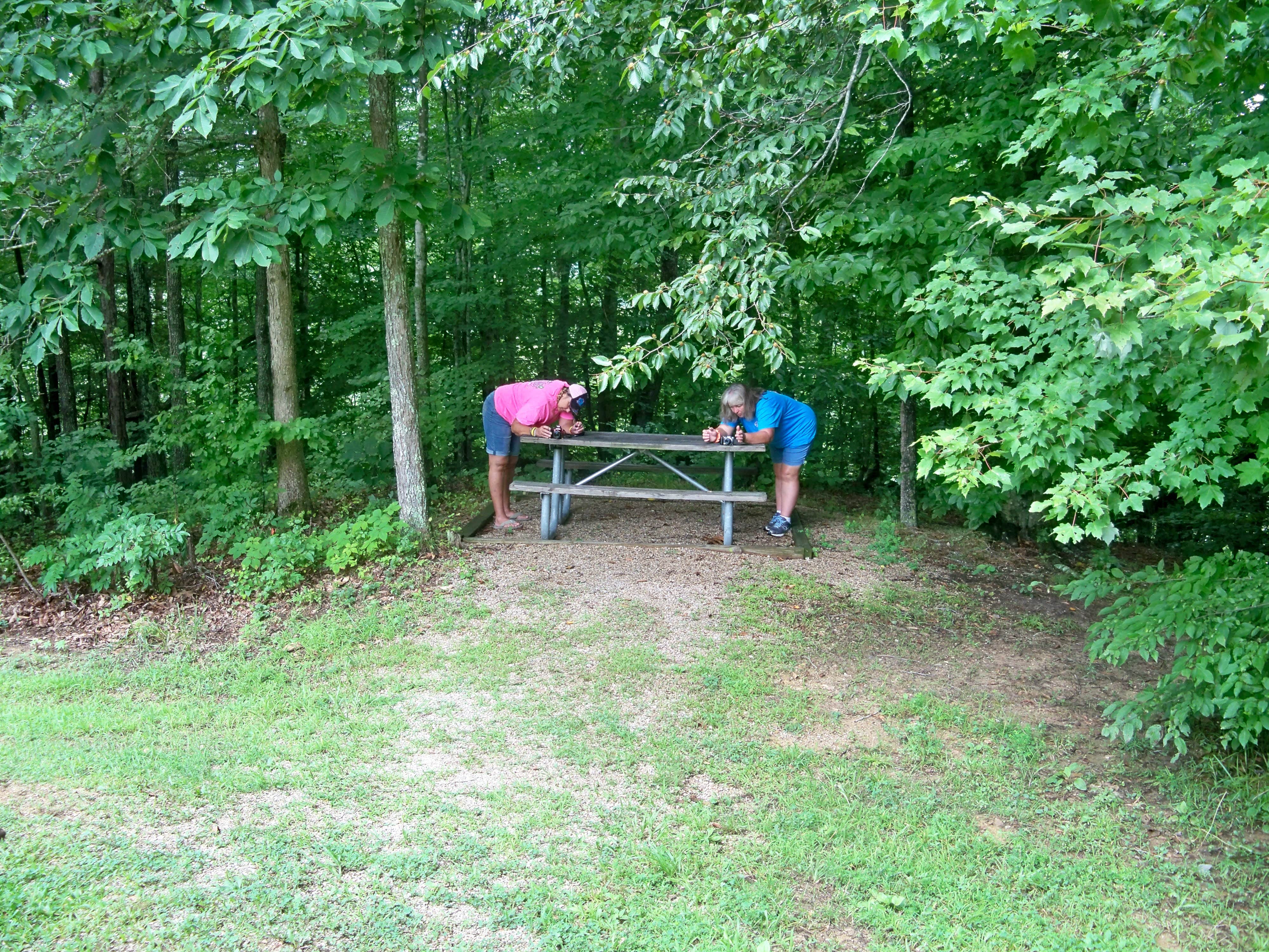 Camper-submitted photo at Yatesville Lake State Park Campground near Blue River, KY