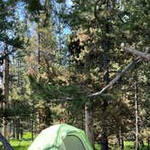 Review photo of Bridge Bay Campground — Yellowstone National Park by Mashael A., July 13, 2023