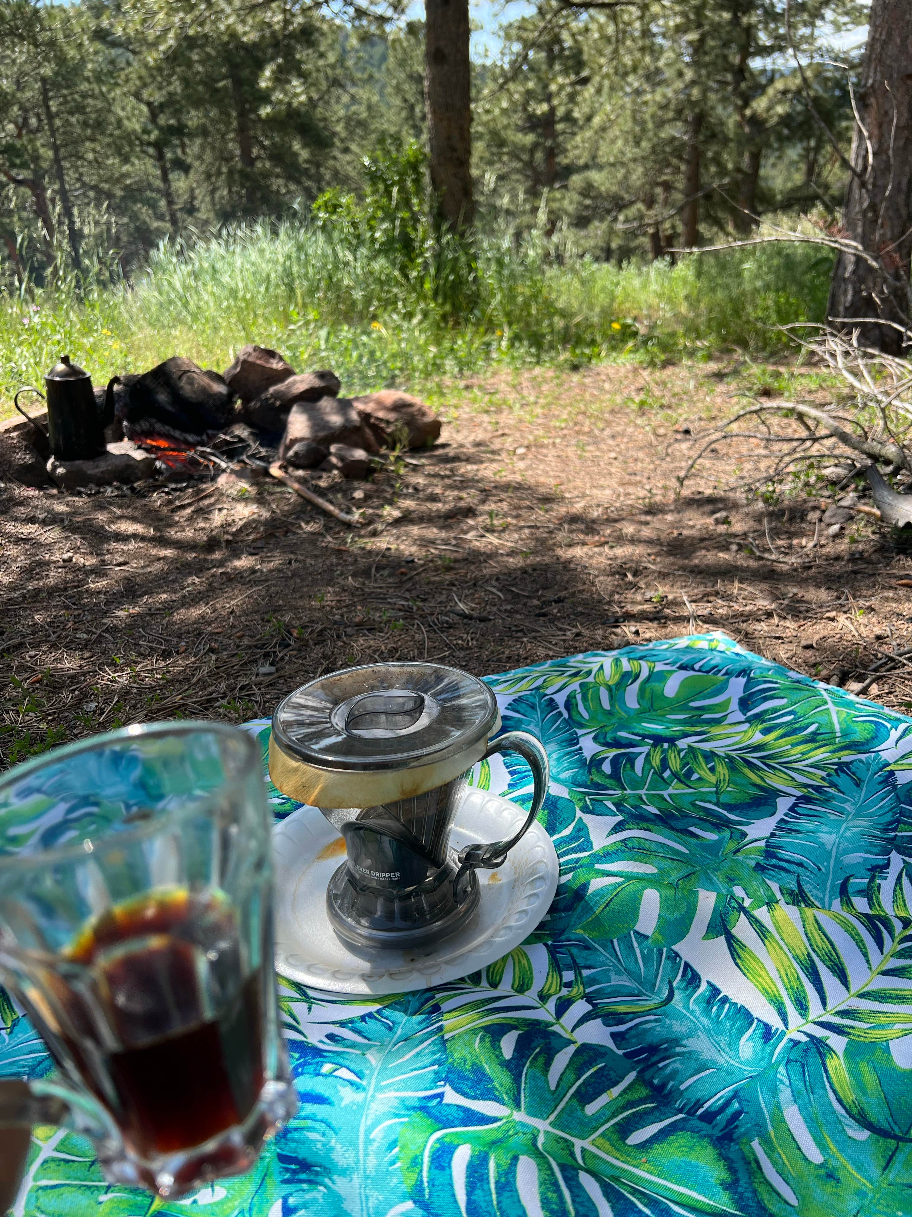 Camper submitted image from Allenspark Dispersed Camp Spot - 3