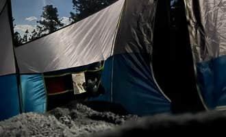 Camping near LaVern M. Johnson Park: Allenspark Dispersed Camp Spot, Pinewood Springs, Colorado