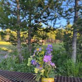 Review photo of Sheffield Campground by Melissa S., July 13, 2023