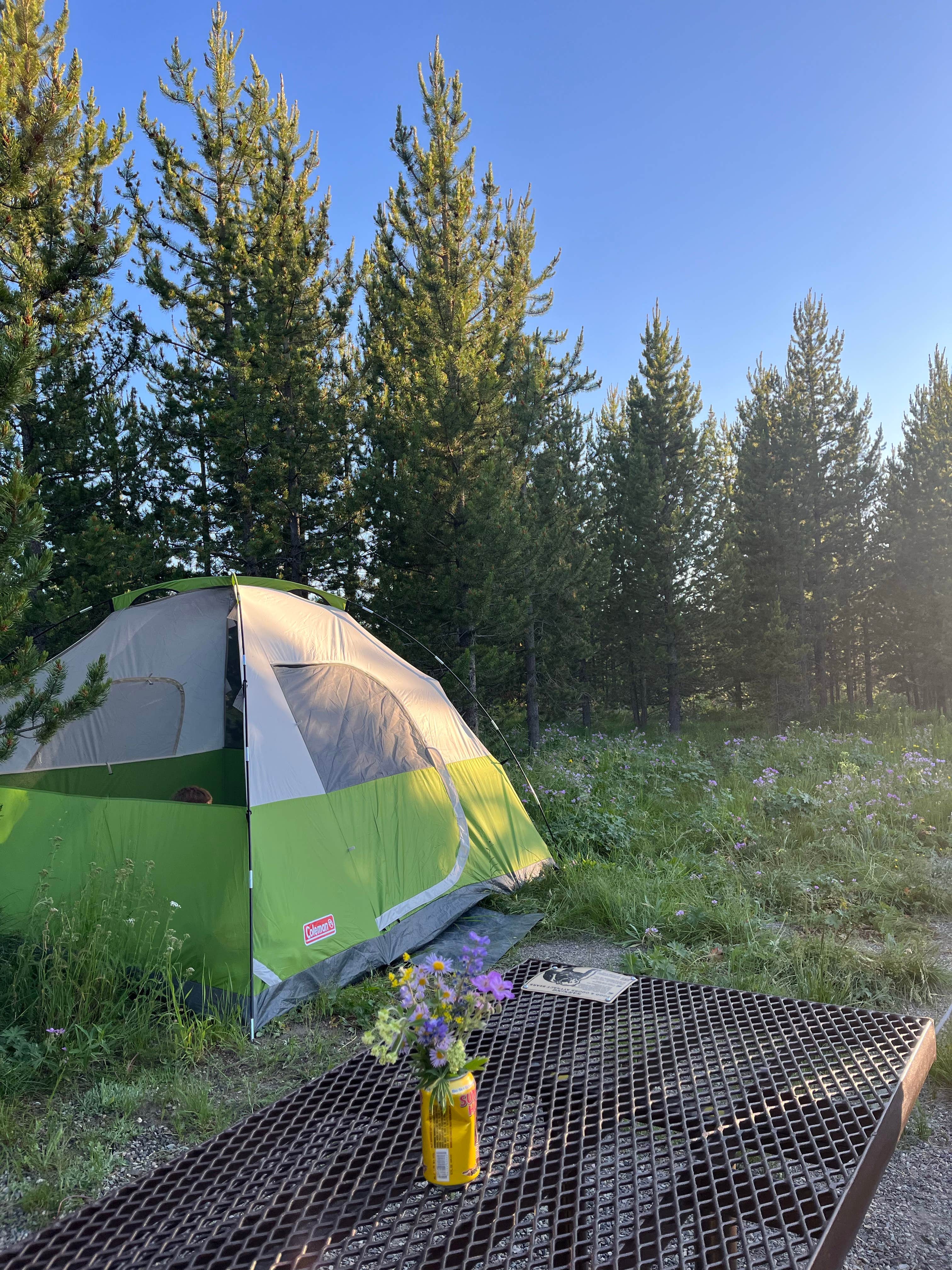 Melissa S.'s photo at Sheffield Campground near John D. Rockefeller Jr. Memorial Parkway