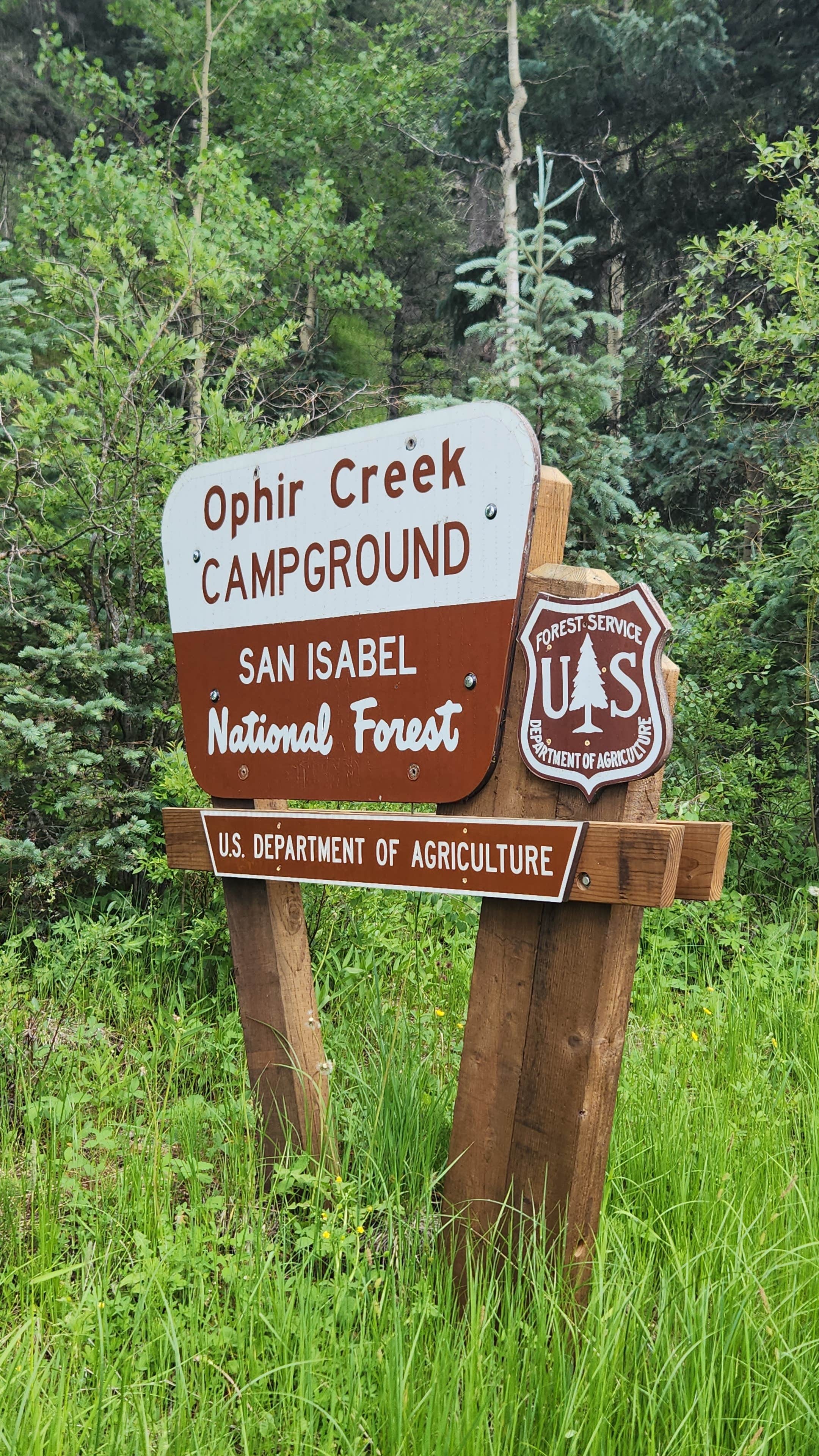 Camper-submitted photo at Ophir Creek Campground (Co) — Psicc near Rye, CO