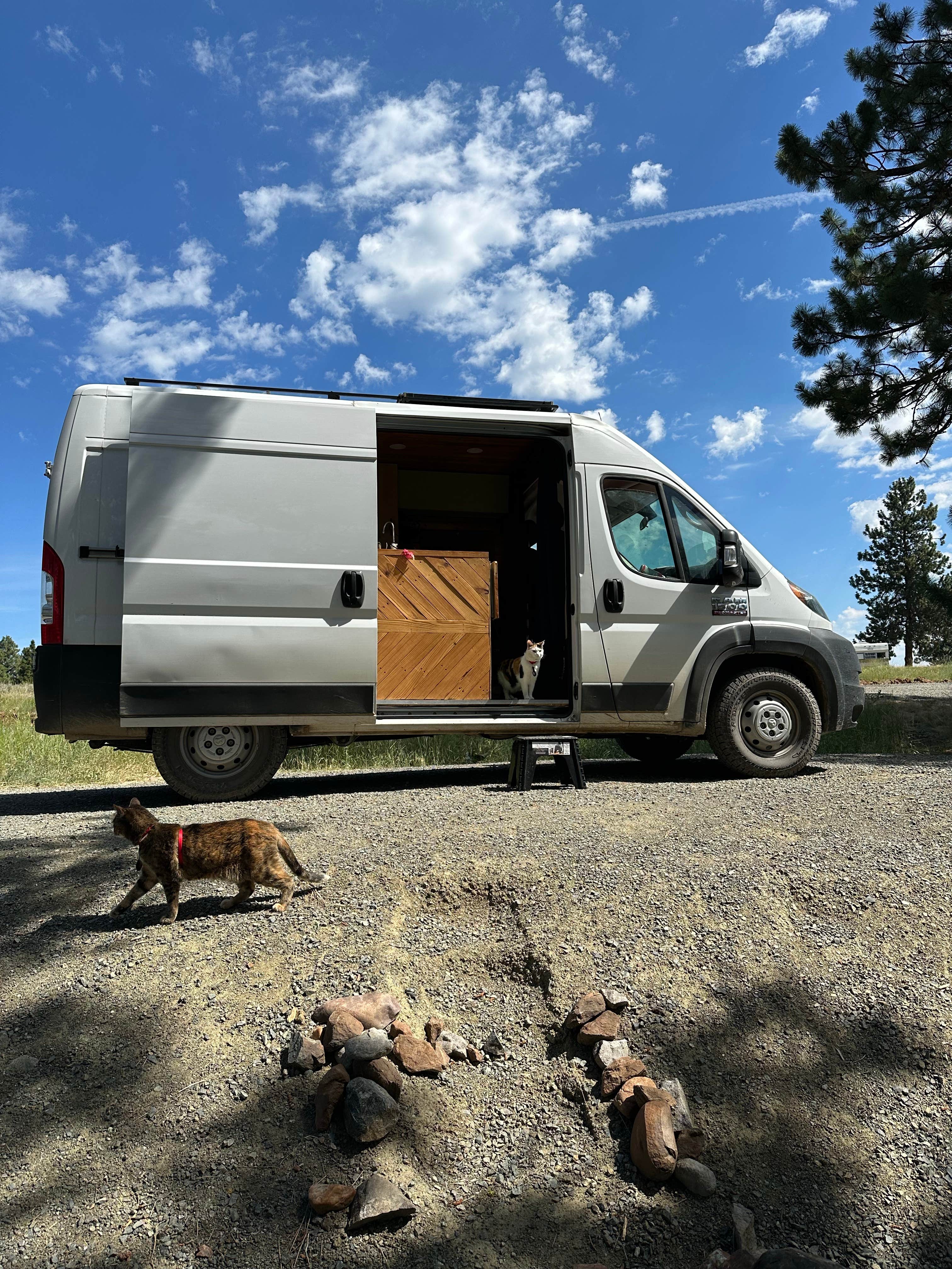 Tee C.'s photo of camping with pets at Pilcher Creek Reservoir near Cove, OR