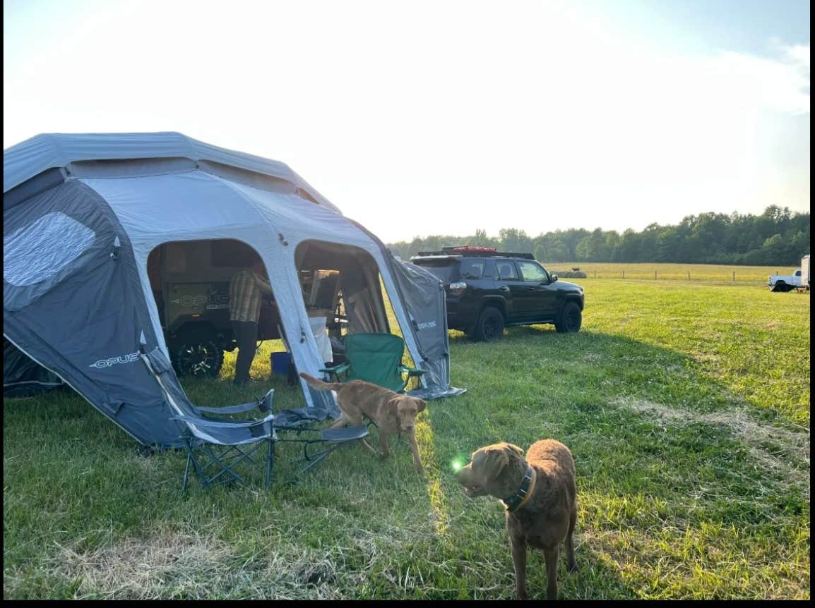 Camper submitted image from The Farm at Grand River - 1