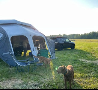 Camper-submitted photo from The Farm at Grand River