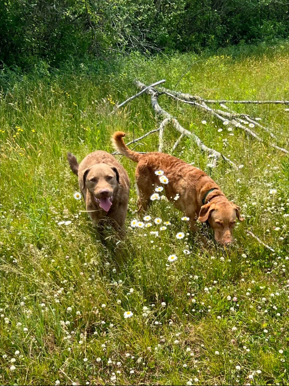 Camper-submitted photo at The Farm at Grand River near Willoughby, OH