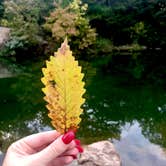 Review photo of Guy Sandy Campground — Chickasaw National Recreation Area by Crystal C., October 22, 2018