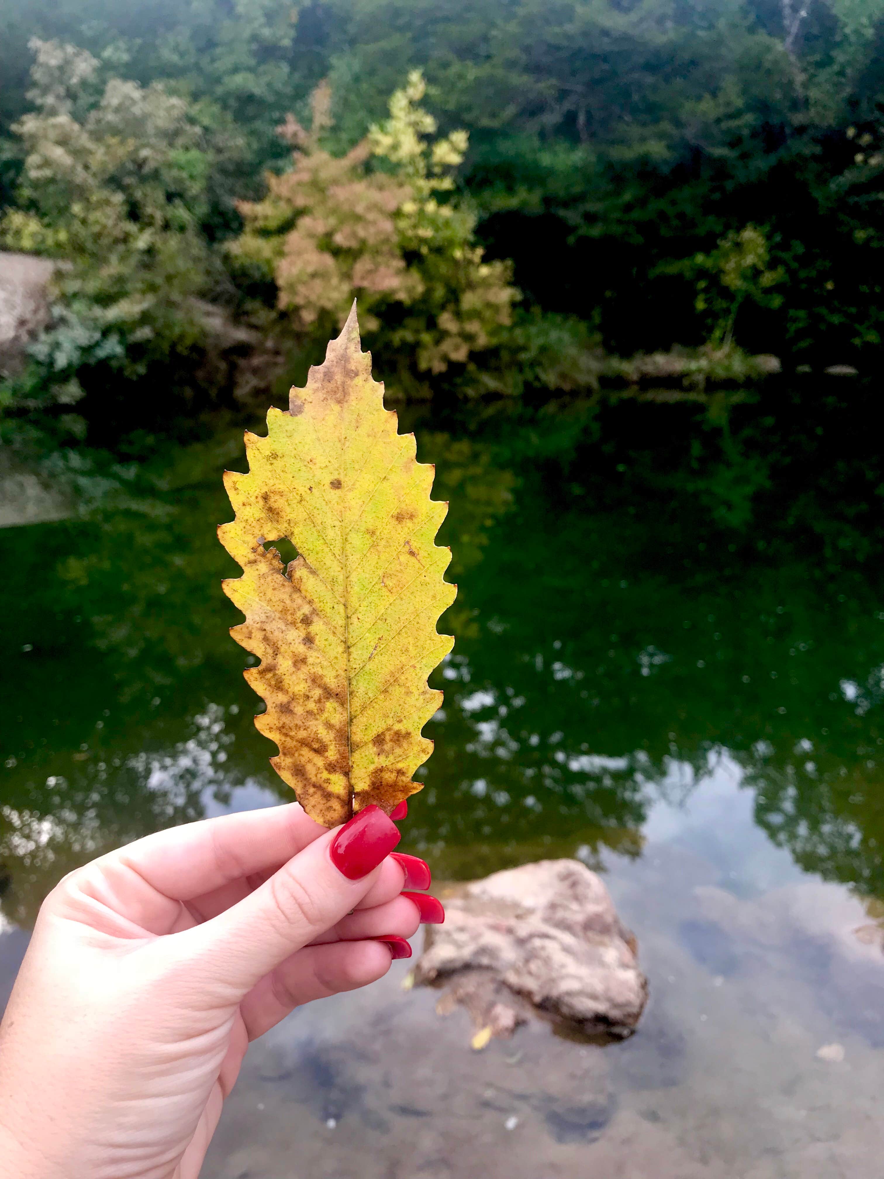 Camper submitted image from Guy Sandy Campground — Chickasaw National Recreation Area - 2