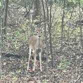 Review photo of Guy Sandy Campground — Chickasaw National Recreation Area by Crystal C., October 22, 2018