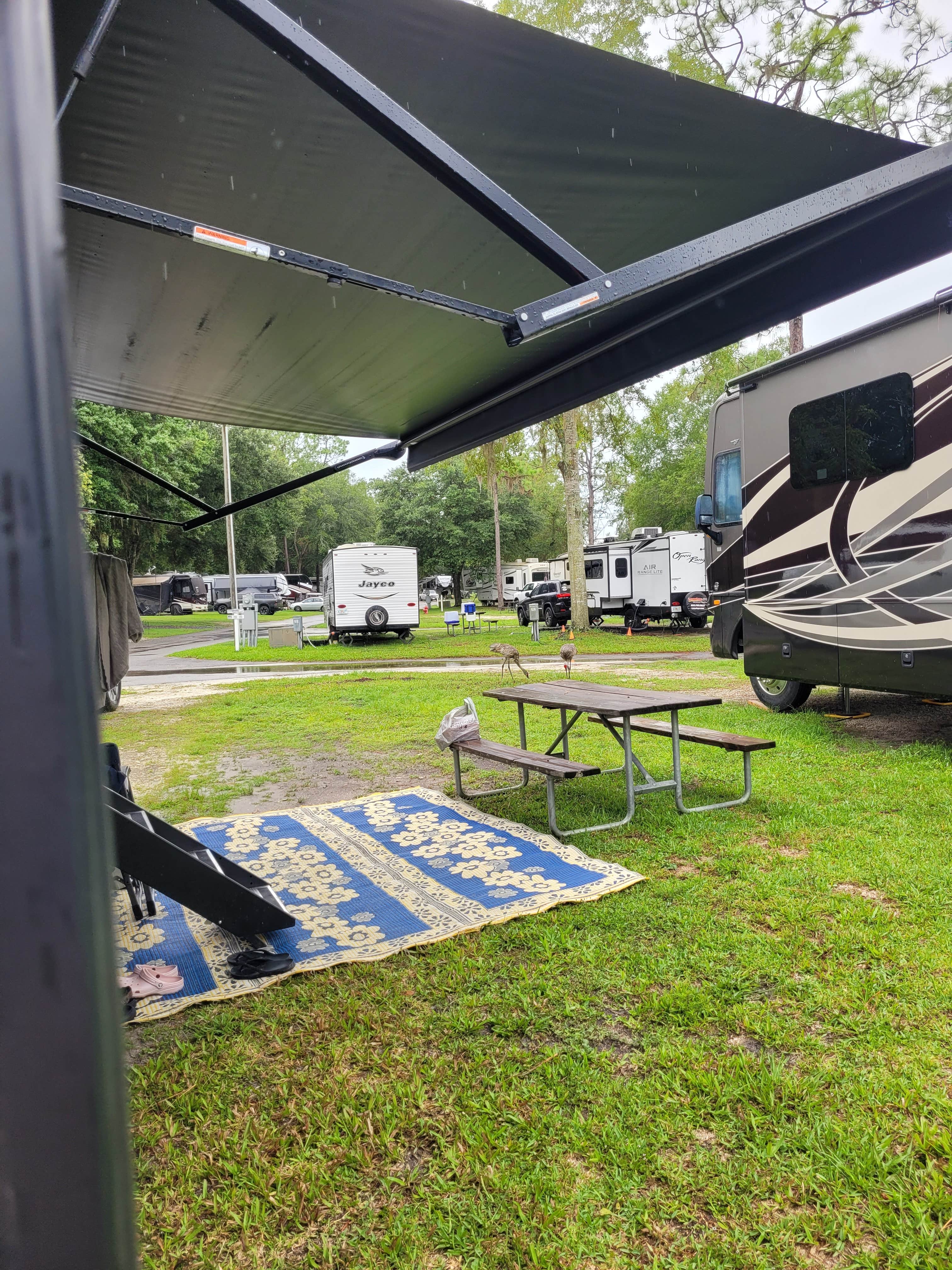A T.'s photo of rv camping at Thousand Trails Three Flags near Inverness, FL