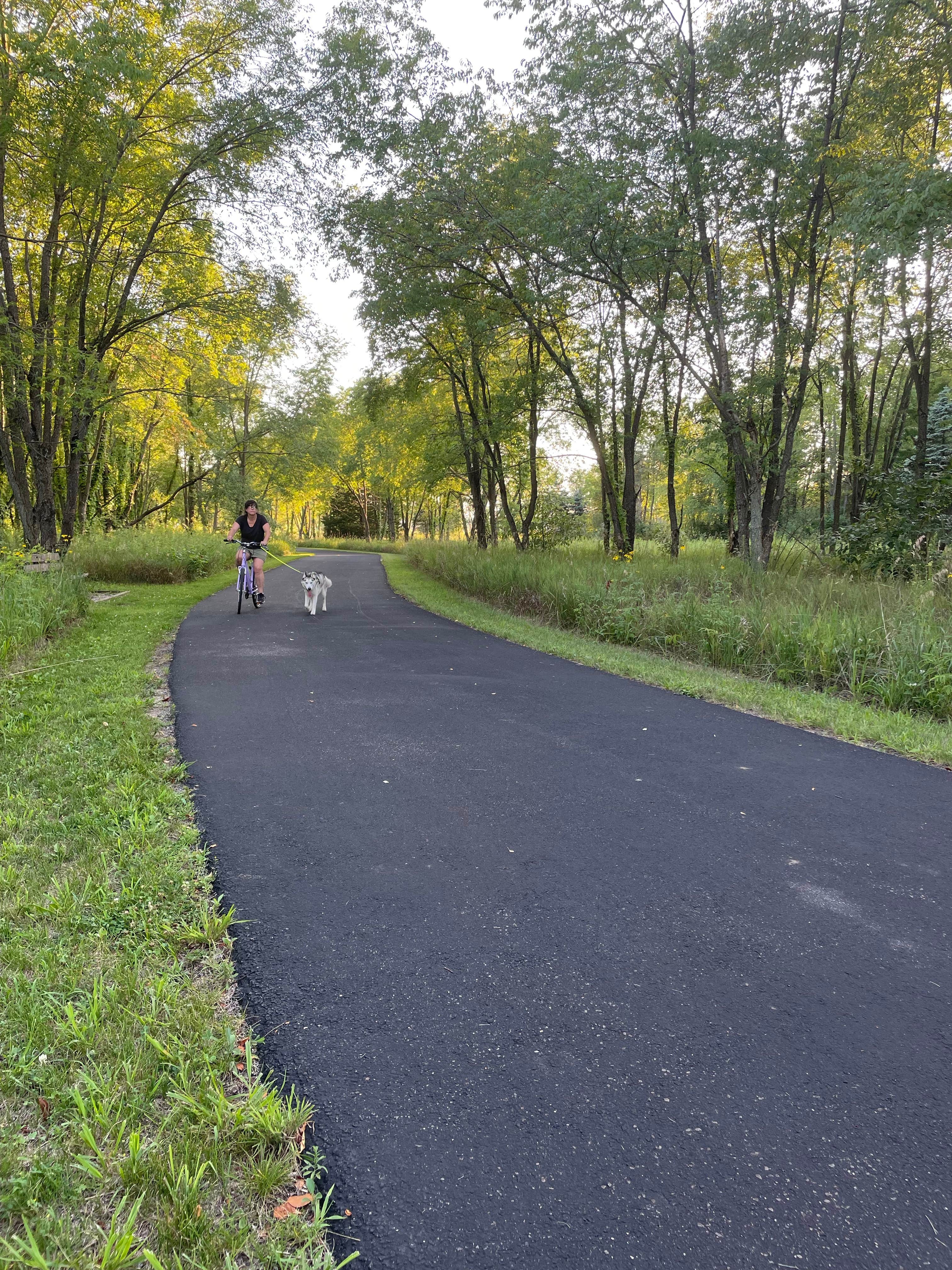 Anne S.'s photo of camping with pets at Prophetstown State Park Campground near Morocco, IN