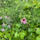 Review photo of Prophetstown State Park Campground by Anne S., July 14, 2023