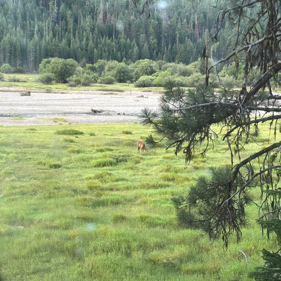 Clear Lake Campgrounds Goose Prairie, WA