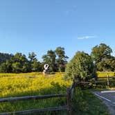 Review photo of Belle Fourche Campground at Devils Tower — Devils Tower National Monument by Kristi D., July 14, 2023