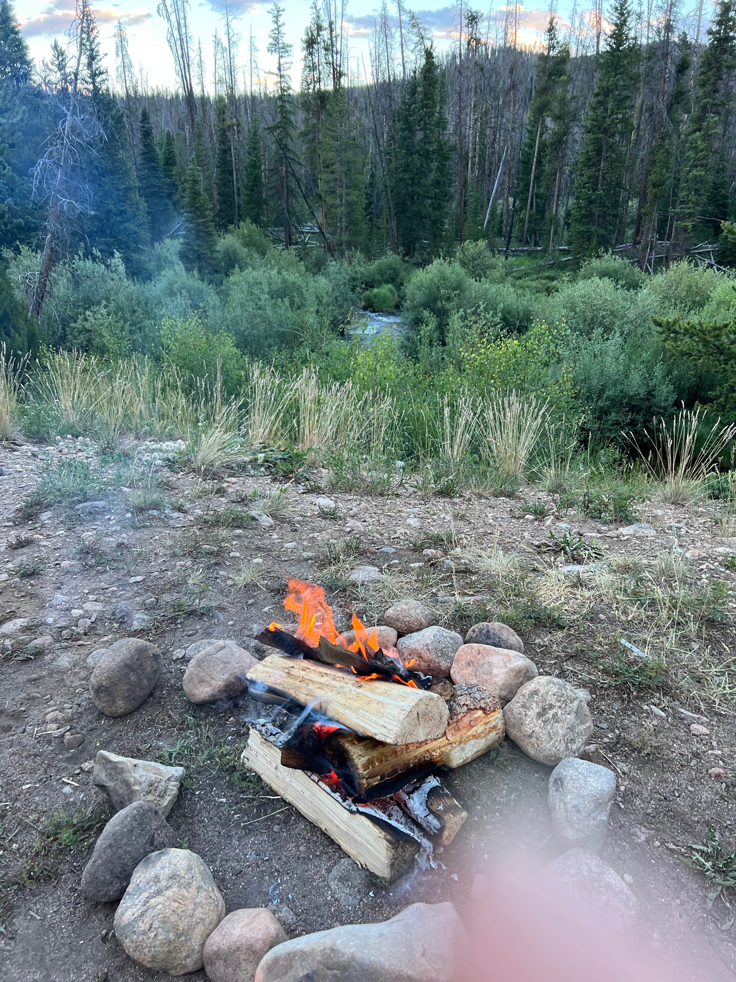 Camper submitted image from Rock Creek Trailhead - 3