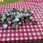 Review photo of Hatteras Sands Campground by Jason G., June 21, 2023