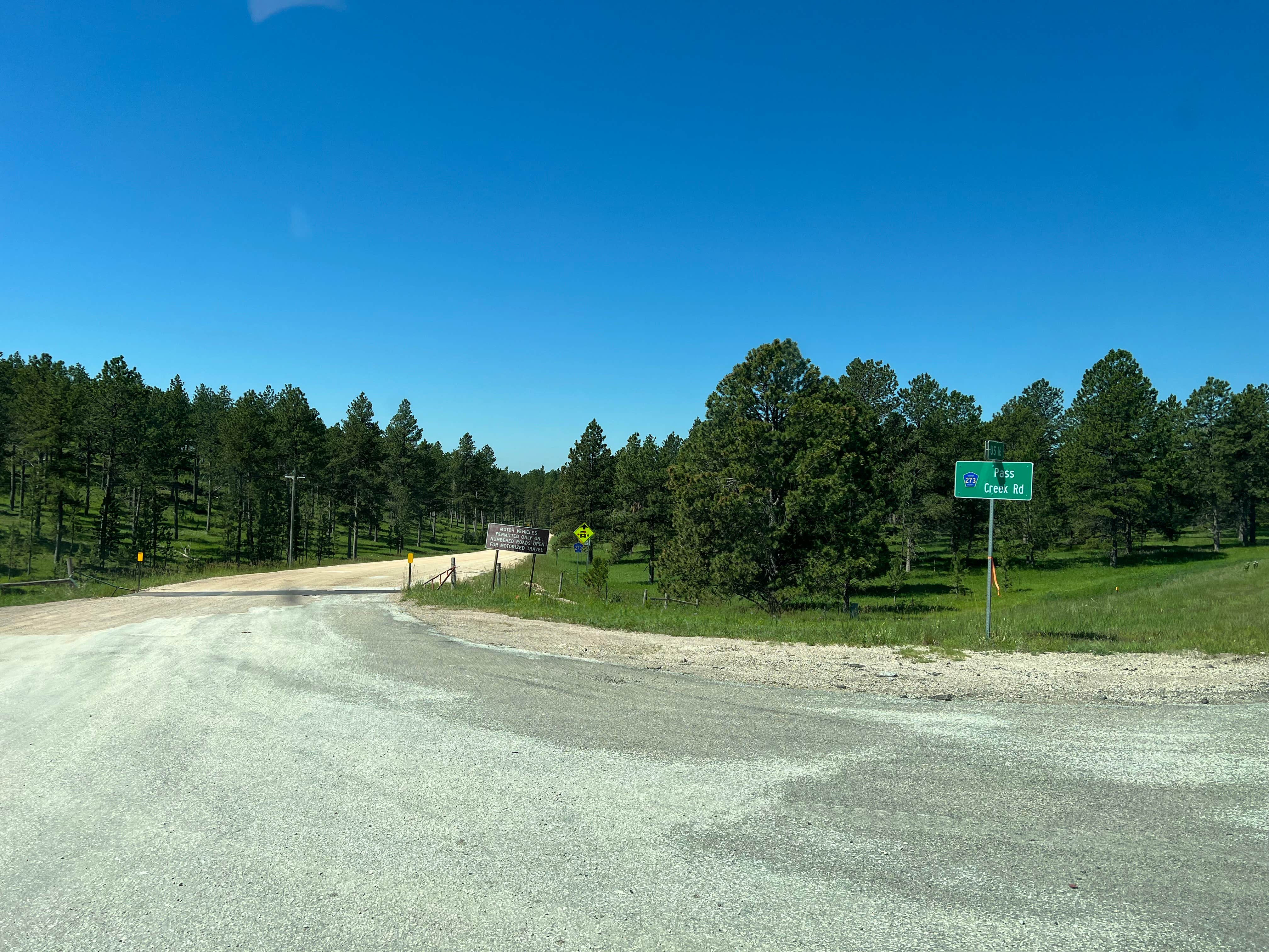 Camper-submitted photo at Black Hills NF FR307 Dispersed Camping near Pringle, SD