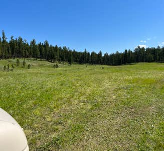 Camper-submitted photo from Black Hills NF FR307 Dispersed Camping