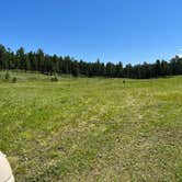 Review photo of Black Hills NF FR307 Dispersed Camping by Art S., July 14, 2023