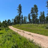 Review photo of Black Hills NF FR307 Dispersed Camping by Art S., July 14, 2023