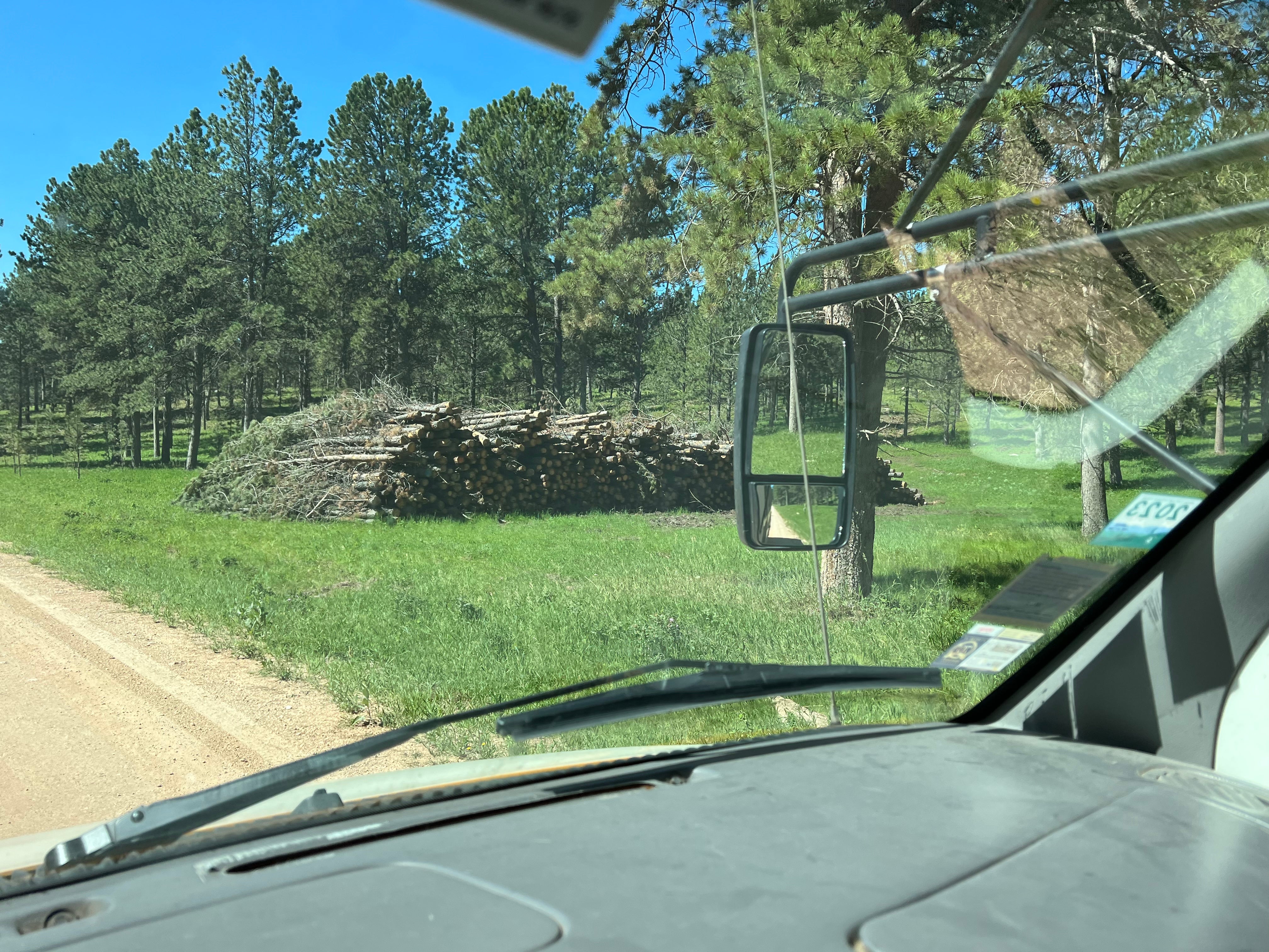Camper submitted image from Black Hills NF FR307 Dispersed Camping - 1