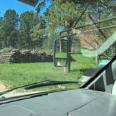 Review photo of Black Hills NF FR307 Dispersed Camping by Art S., July 14, 2023