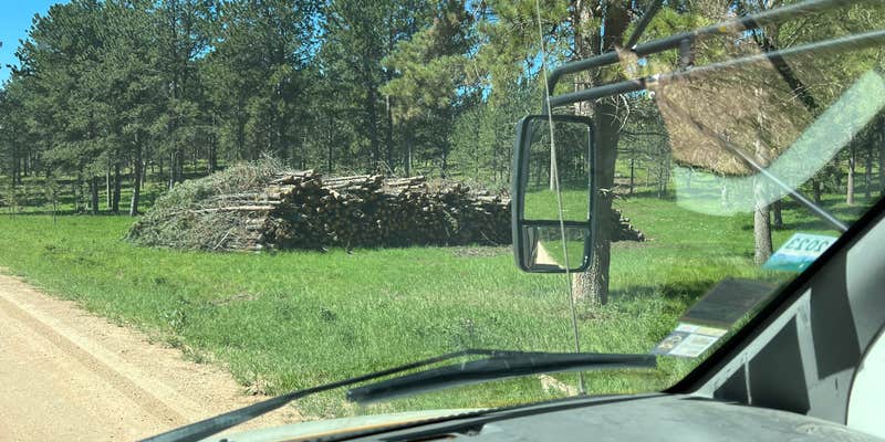 Camper submitted image from Black Hills NF FR307 Dispersed Camping