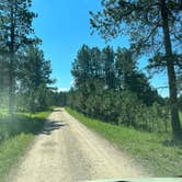 Review photo of Black Hills NF FR307 Dispersed Camping by Art S., July 14, 2023