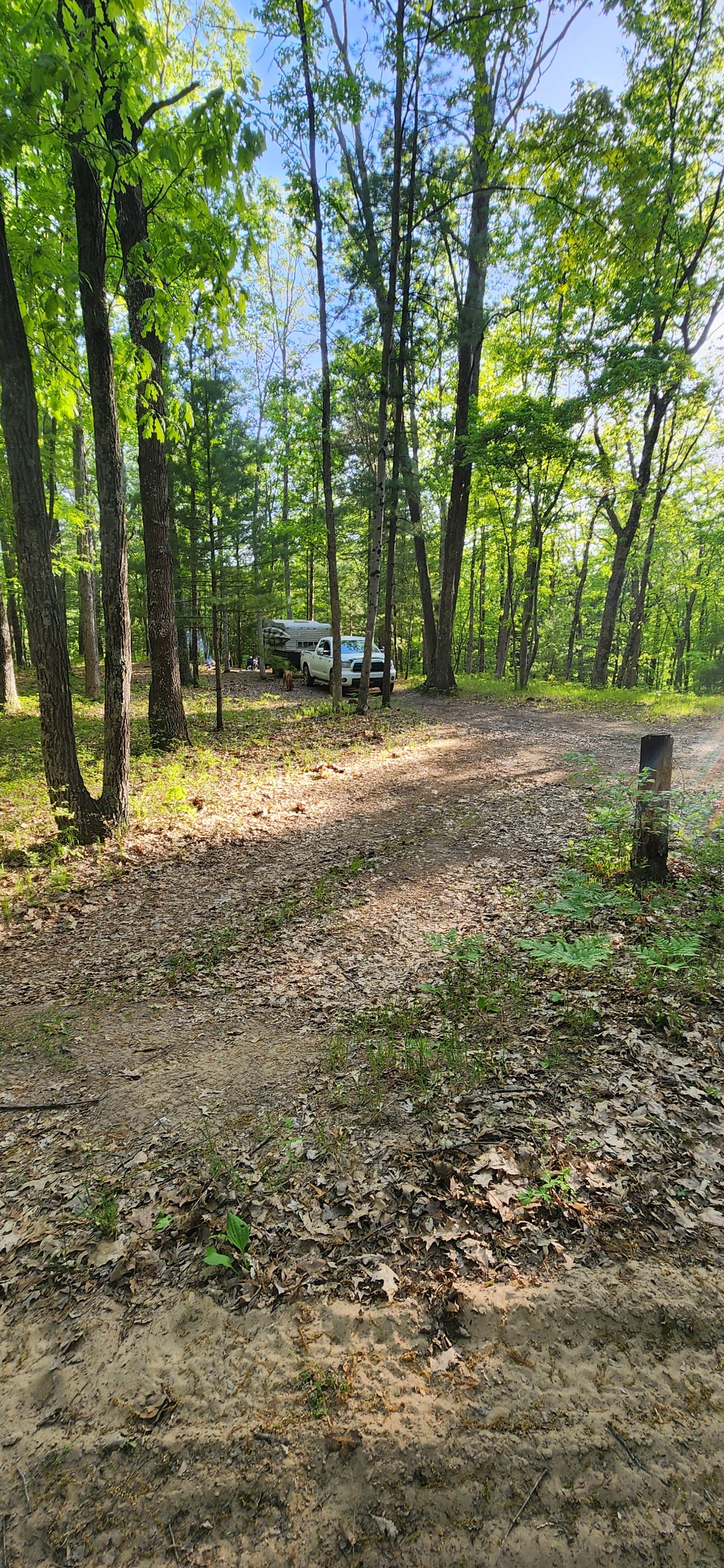 Camper-submitted photo at Whelan Lake Campground near Pentwater, MI