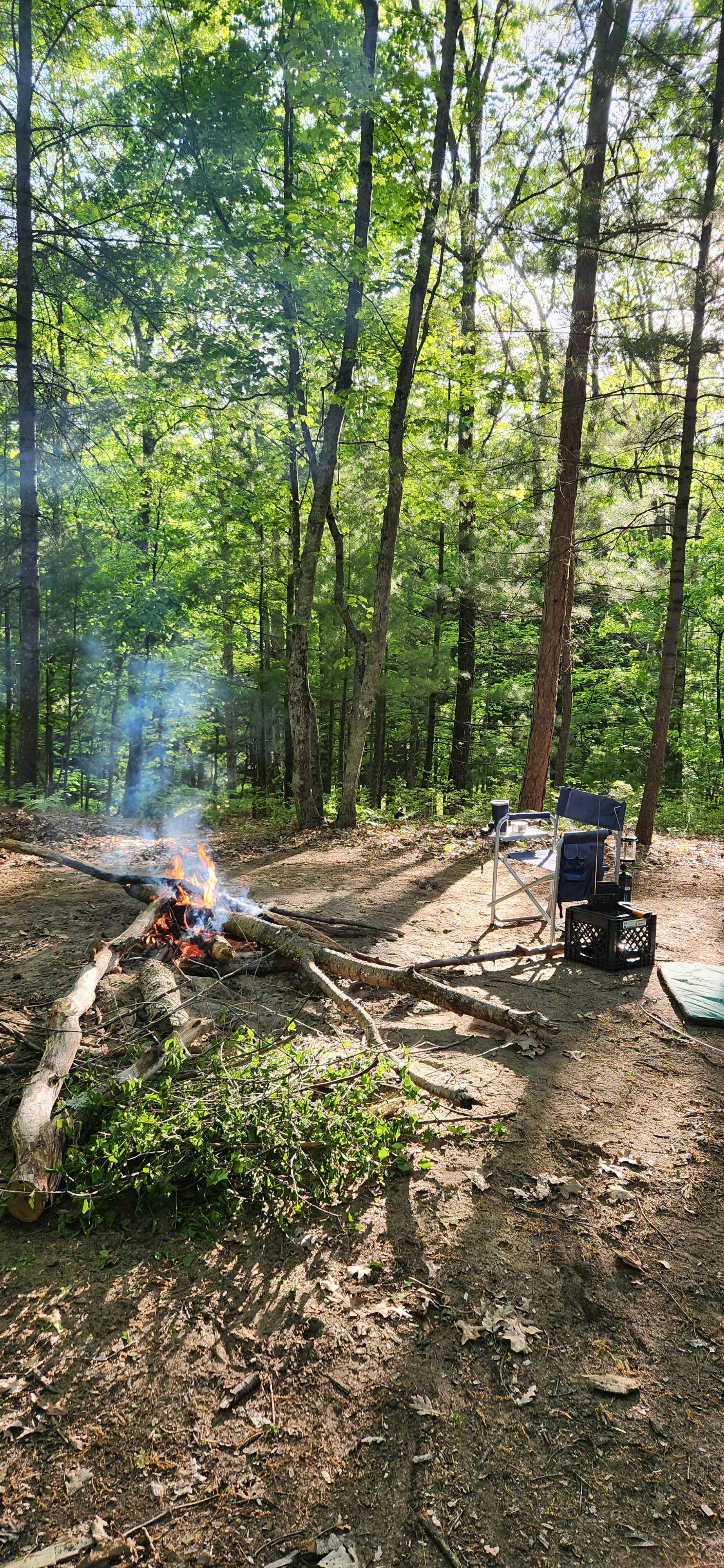 Neil's photo at Whelan Lake Campground near Custer, MI