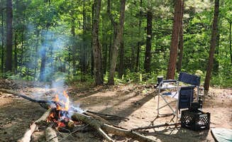 Neil's photo of tent camping at Whelan Lake Campground near Morley, MI