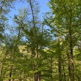 Review photo of Rocky Springs Campground, Milepost 54.8 — Natchez Trace Parkway by Cheri H., July 14, 2023