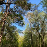 Review photo of Rocky Springs Campground, Milepost 54.8 — Natchez Trace Parkway by Cheri H., July 14, 2023