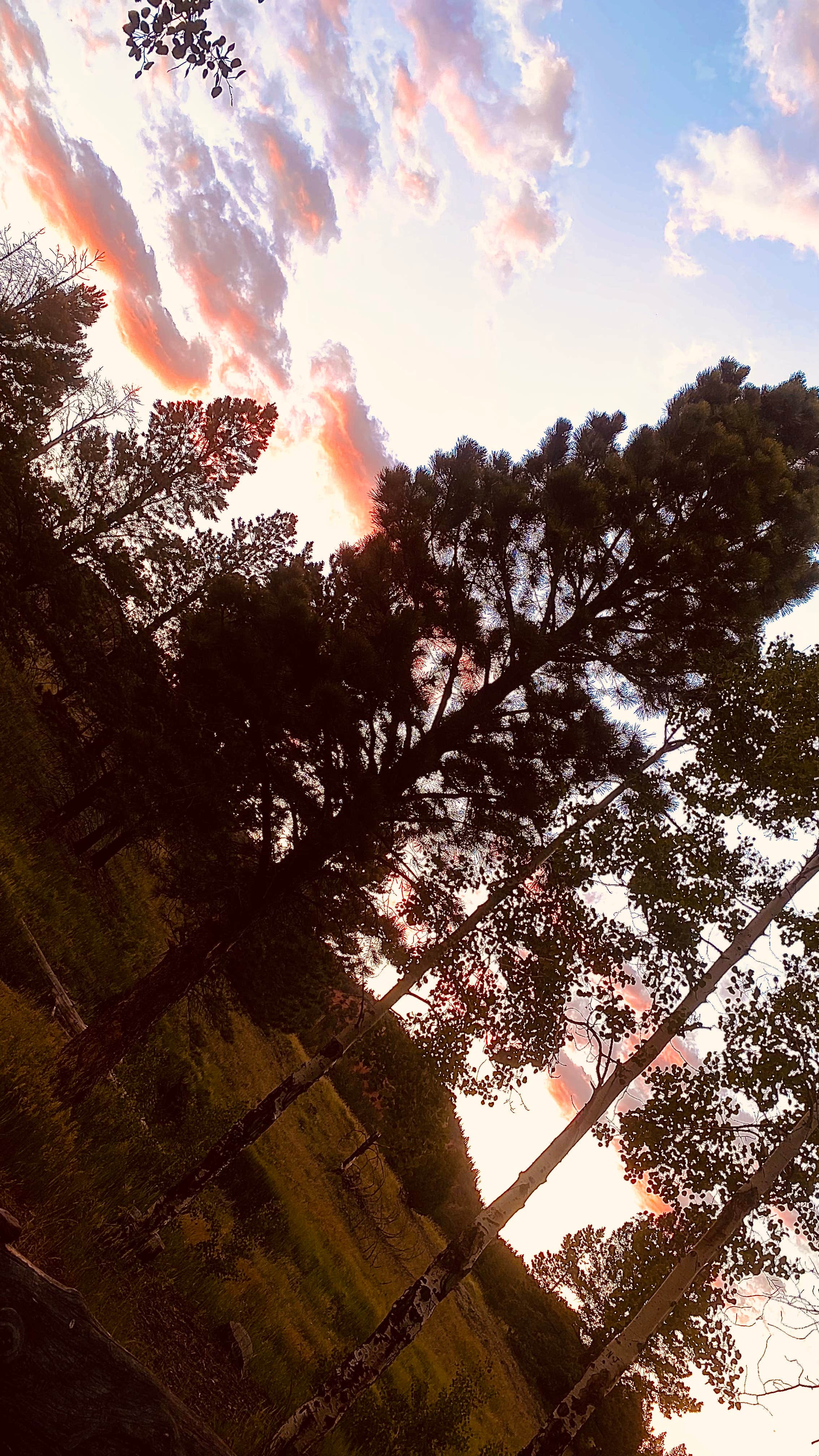 Camper-submitted photo at Yankee Meadows near Parowan, UT